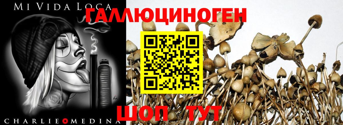 Галлюциногенные грибы MAGIC MUSHROOMS  Псилоцибиновые грибы MAGIC MUSHROOMS  Симферополь  Вход с VPN 
