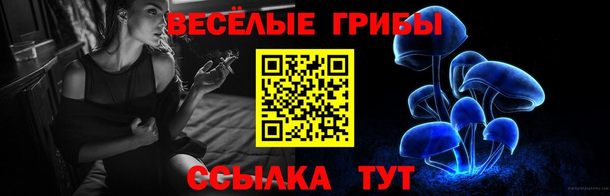 Псилоцибиновые грибы мицелий Симферополь